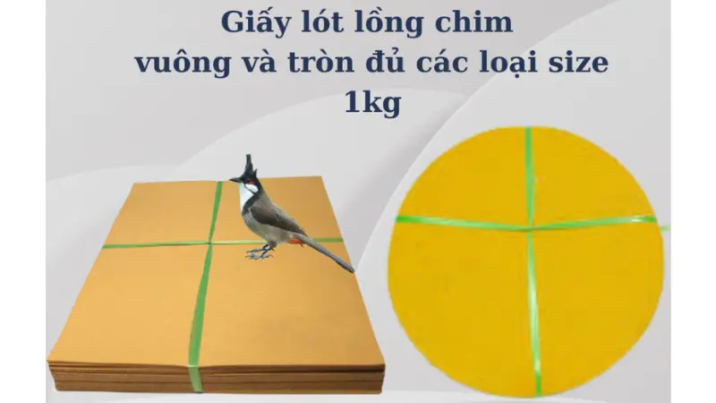 giấy lót lồng chim