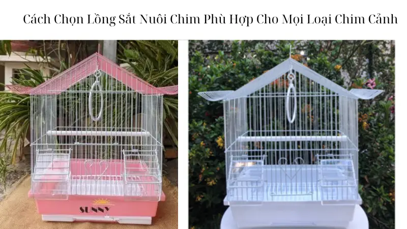 Cách Chọn Lồng Sắt Nuôi Chim Phù Hợp Cho Mọi Loại Chim Cảnh